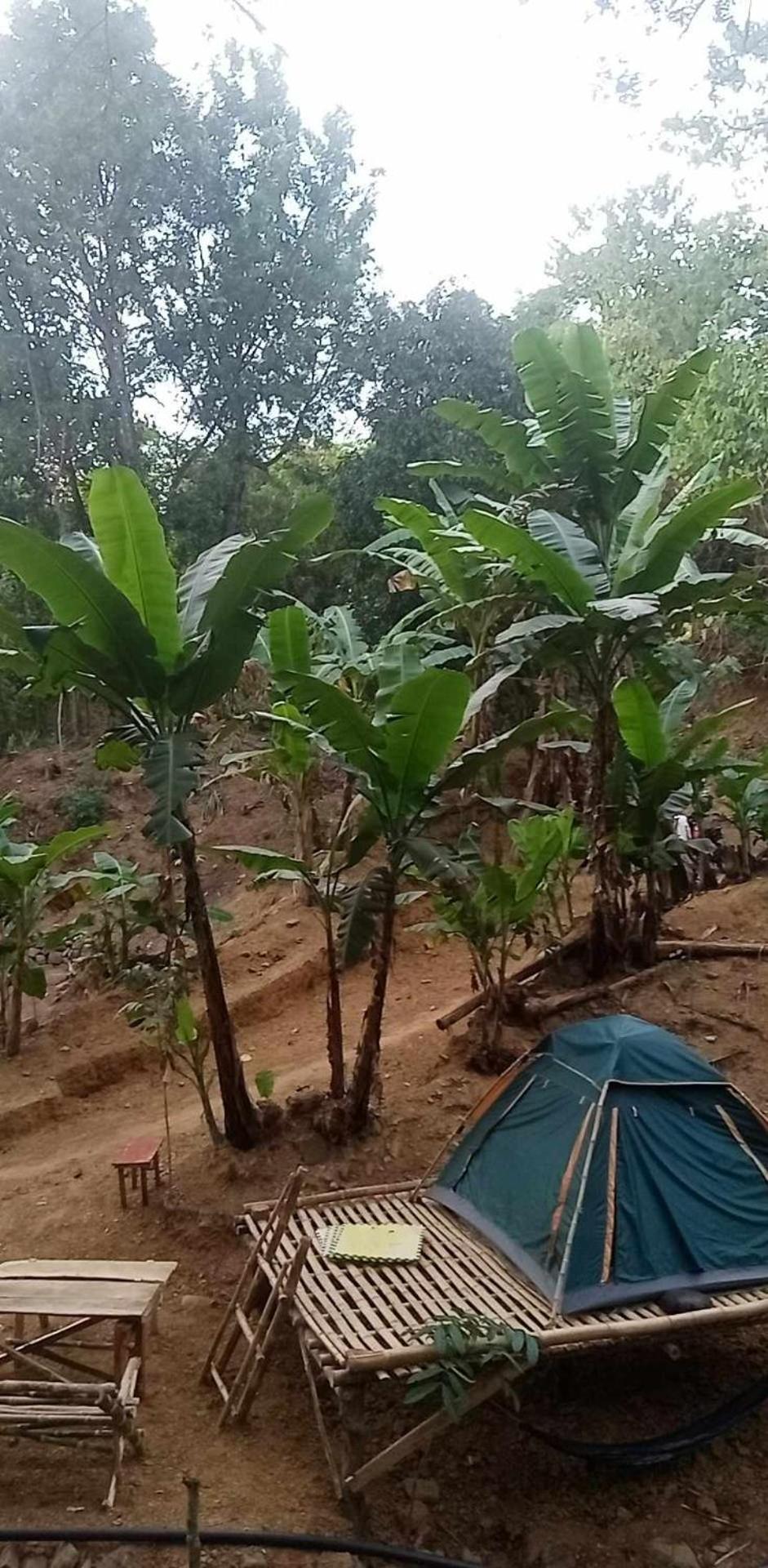Camping Ground @ Eastdee Lidlidda Экстерьер фото