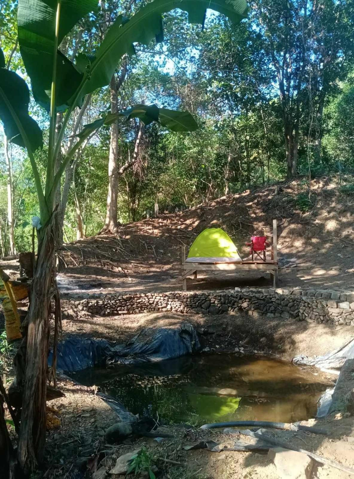 Camping Ground @ Eastdee Lidlidda Экстерьер фото